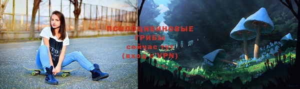 марихуана Новокубанск