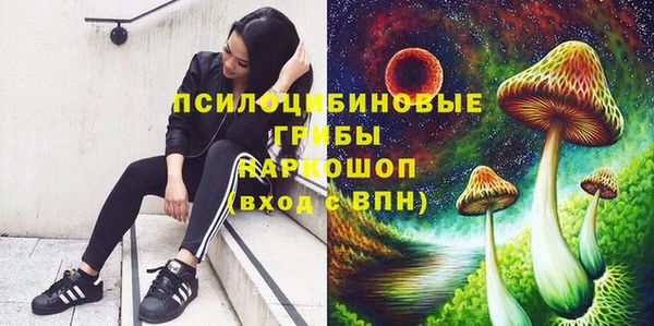 метадон Нея