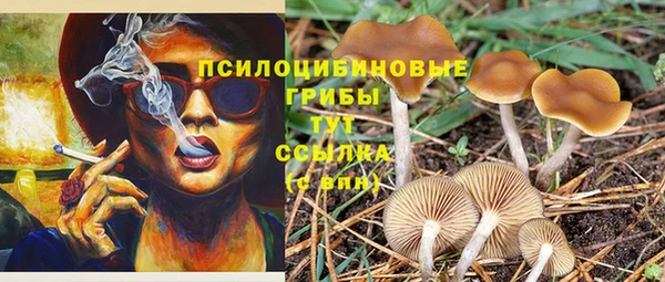 метадон Нея